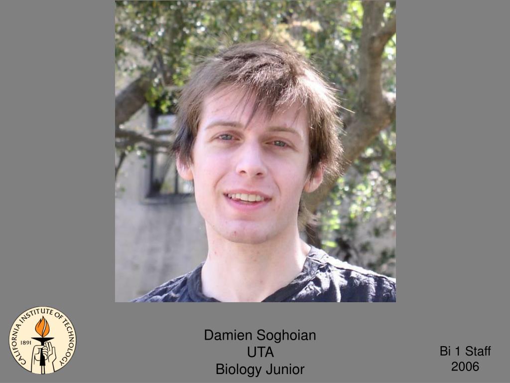 PPT Amber Southwell GTA Biology PowerPoint Presentation, free