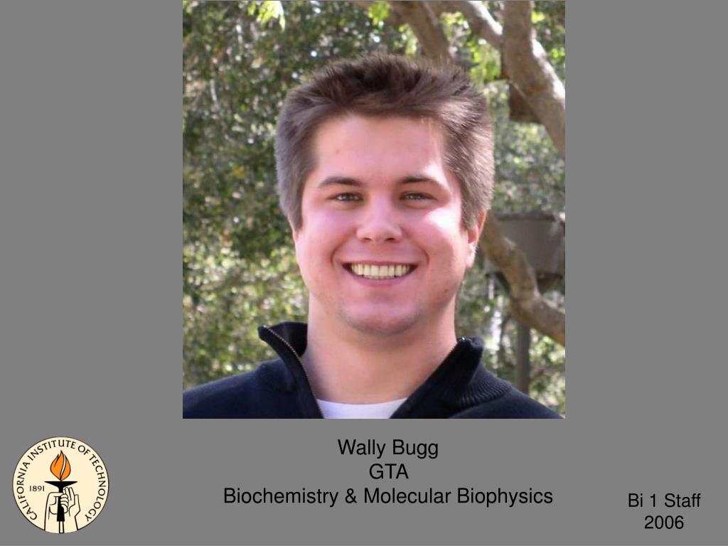 PPT Amber Southwell GTA Biology PowerPoint Presentation, free