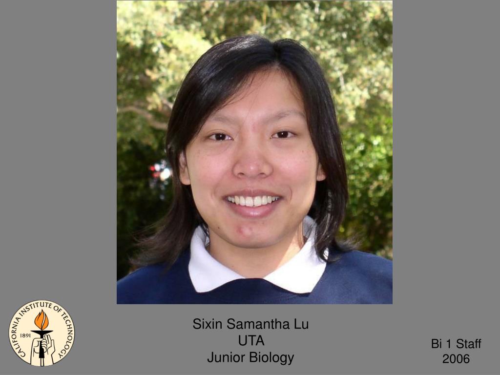 PPT Amber Southwell GTA Biology PowerPoint Presentation, free