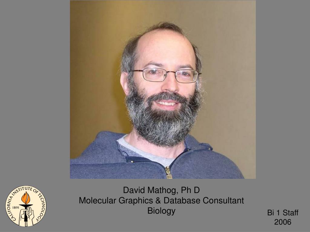 PPT Amber Southwell GTA Biology PowerPoint Presentation, free