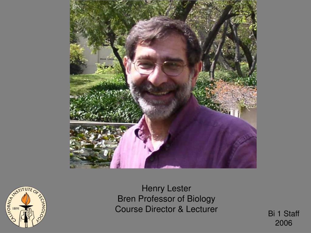 PPT Amber Southwell GTA Biology PowerPoint Presentation, free