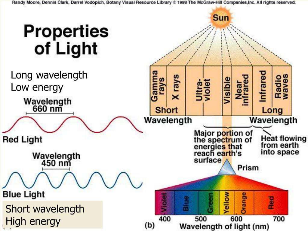 PPT The Dual Nature of Light PowerPoint Presentation, free download