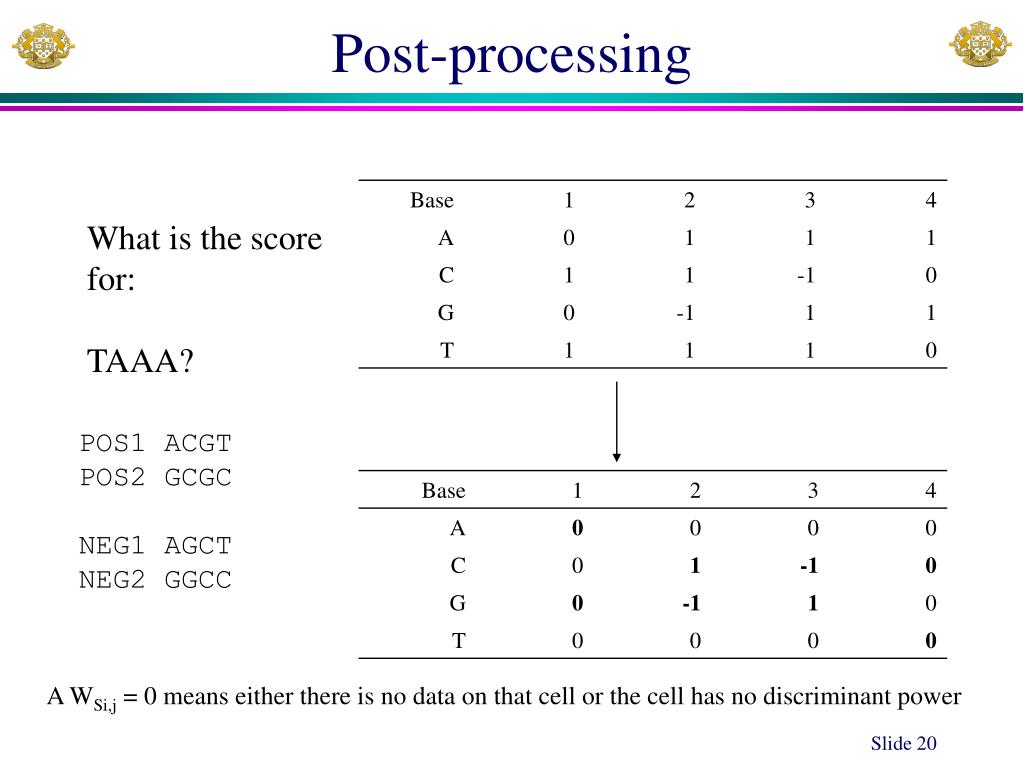 PPT Position weight matrix (PWM), Perceptron and their applications