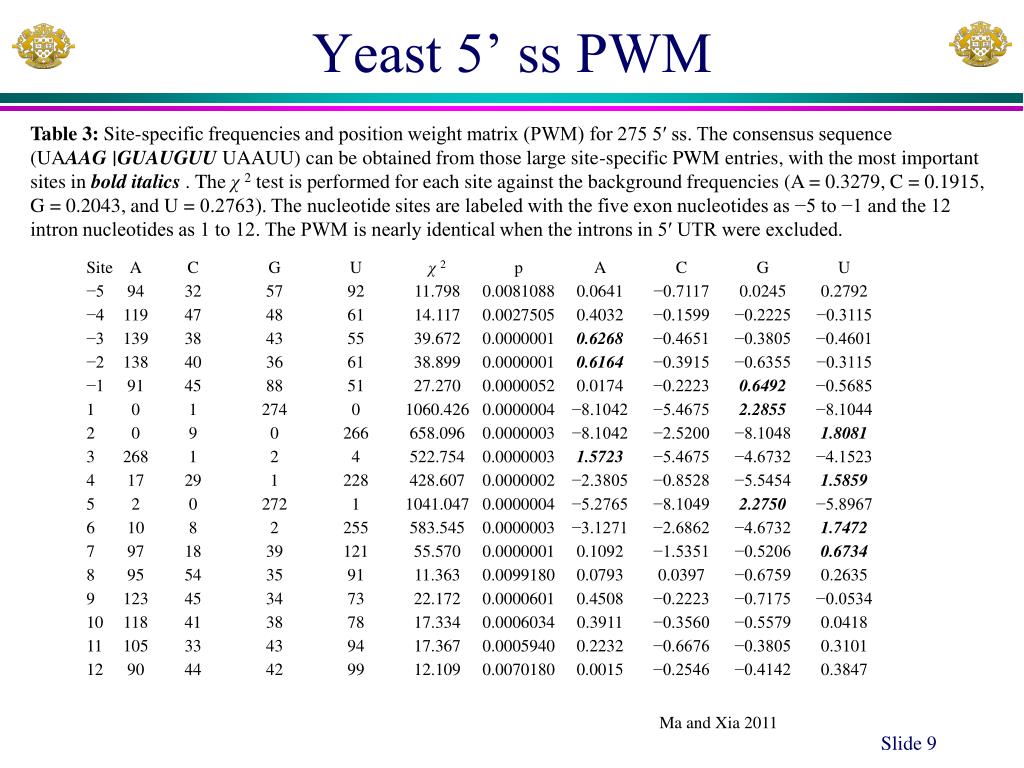 PPT Position weight matrix (PWM), Perceptron and their applications