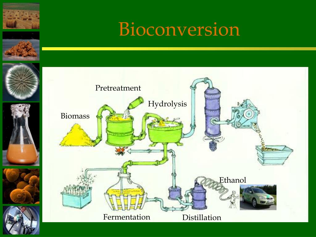 PPT Bioconversion of biomass to ethanolan overview PowerPoint
