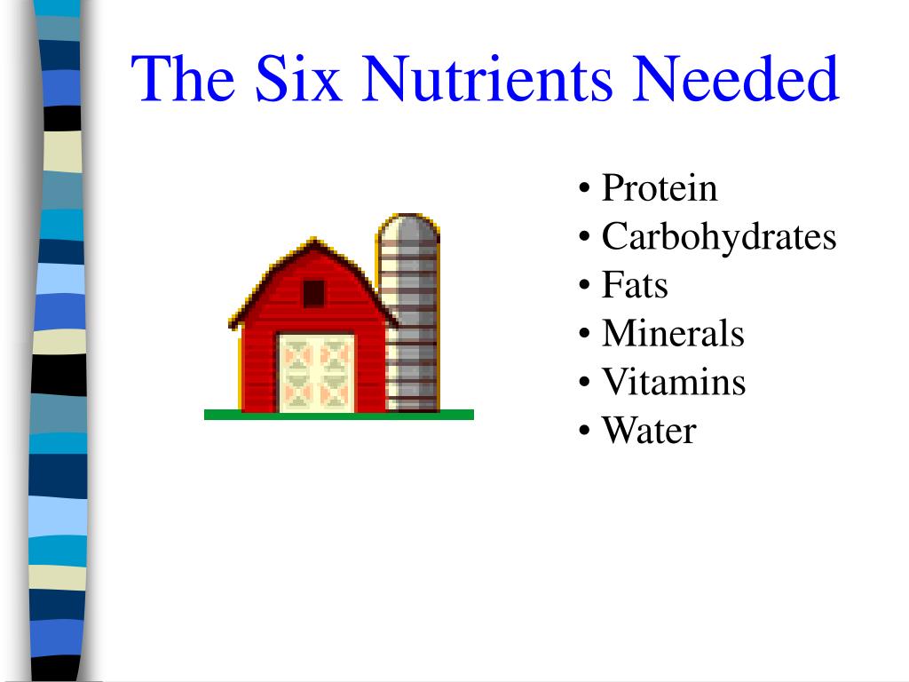 PPT Animal Nutrition and Feeds PowerPoint Presentation, free download