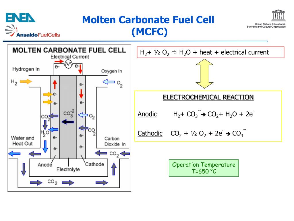 PPT MOLTEN CARBONATE FUEL CELLS ANSALDO FUEL CELLS Experience
