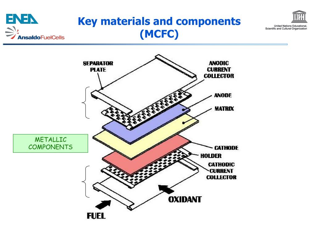 PPT MOLTEN CARBONATE FUEL CELLS ANSALDO FUEL CELLS Experience