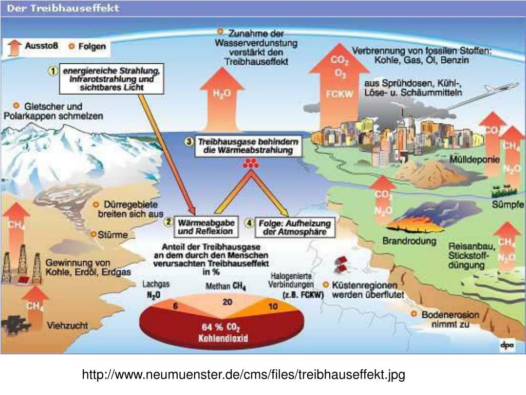 Klimawandel und Klimadynamik: 8 Tabellen Mojib Latif