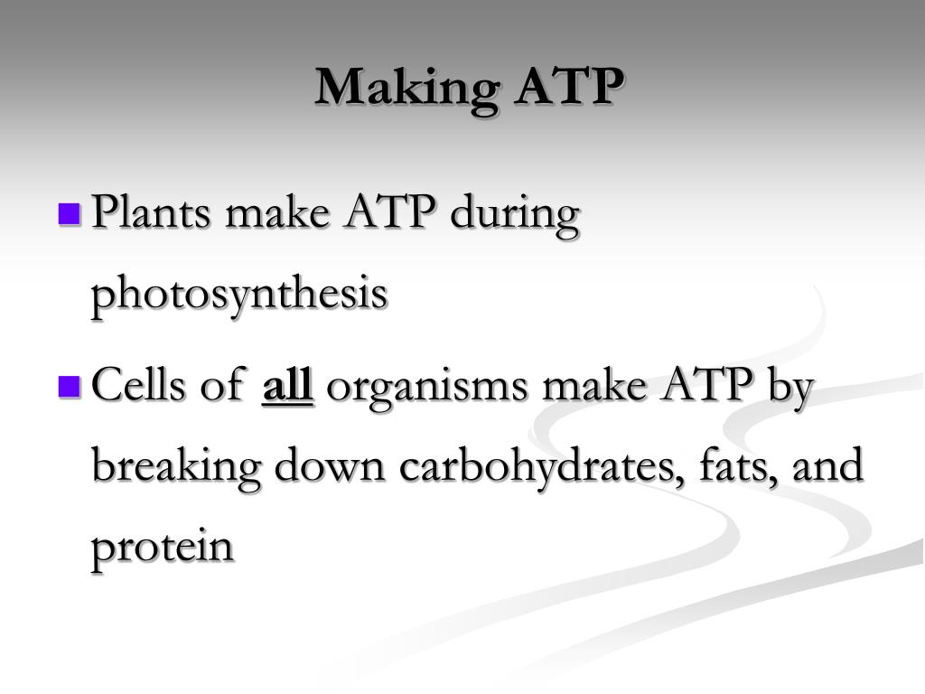 PPT How Cells Release Chemical Energy PowerPoint Presentation, free