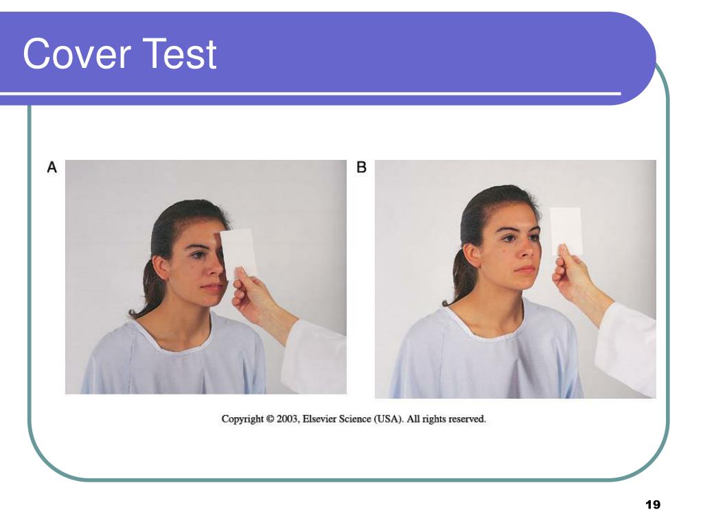 PPT Assessment Eyes and Ears PowerPoint Presentation, free download