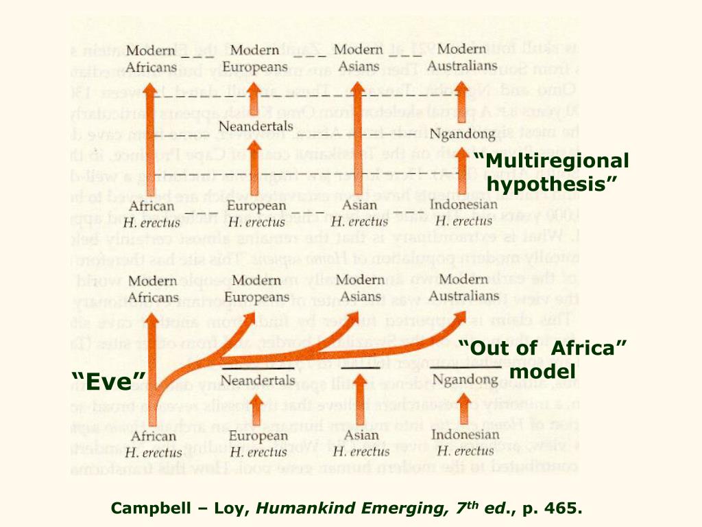 PPT Migrations Out of Africa PowerPoint Presentation, free download