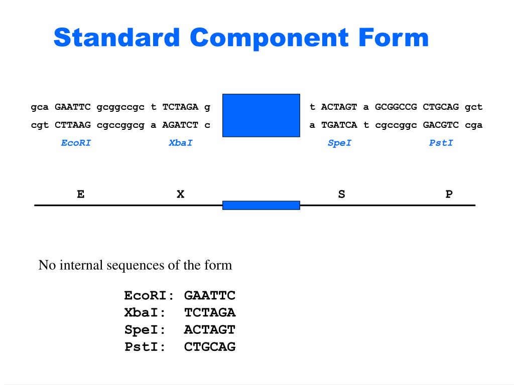 PPT Building Biological Systems from Standard Parts PowerPoint