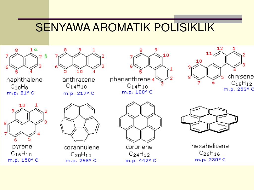 PPT SENYAWA HIDROKARBON AROMATIK POLISIKLIK PowerPoint Presentation