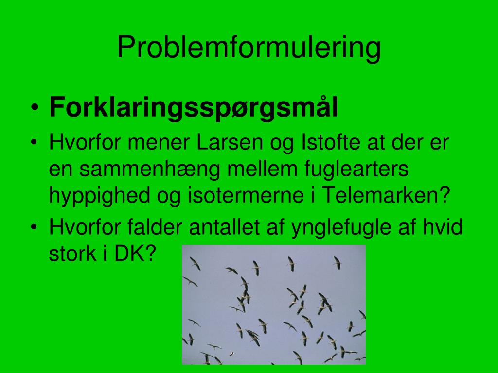 PPT Problemformulering PowerPoint Presentation, free download ID