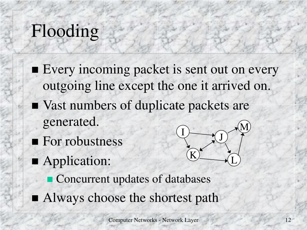 PPT The Network Layer PowerPoint Presentation, free download ID3653615