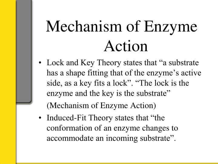 PPT Enzymes, Regulation, And Inhibition By Nic Oliver And Jamie