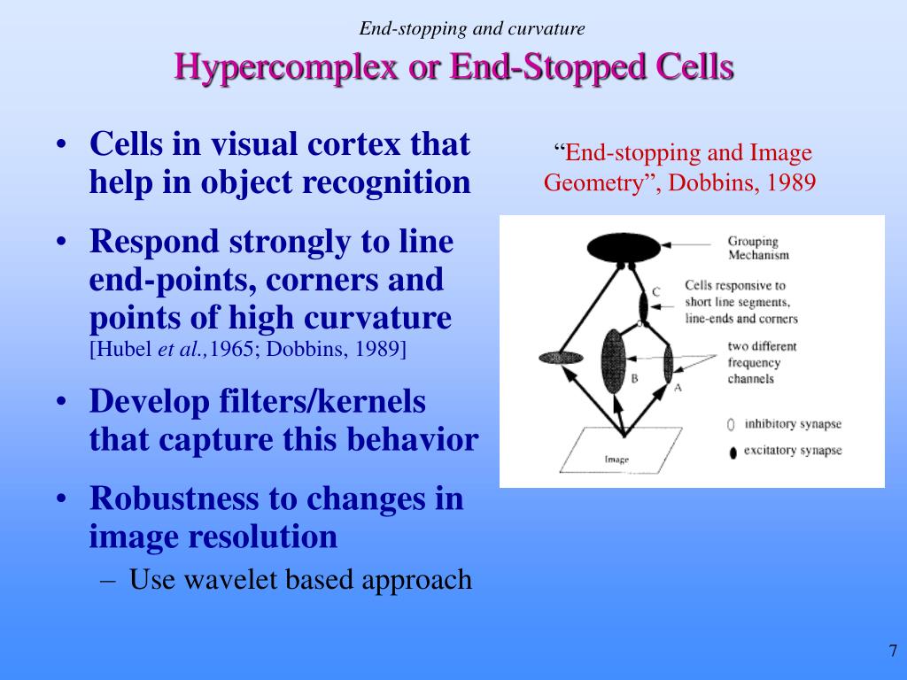 PPT Robust Perceptual Image Hashing Using Feature Points PowerPoint