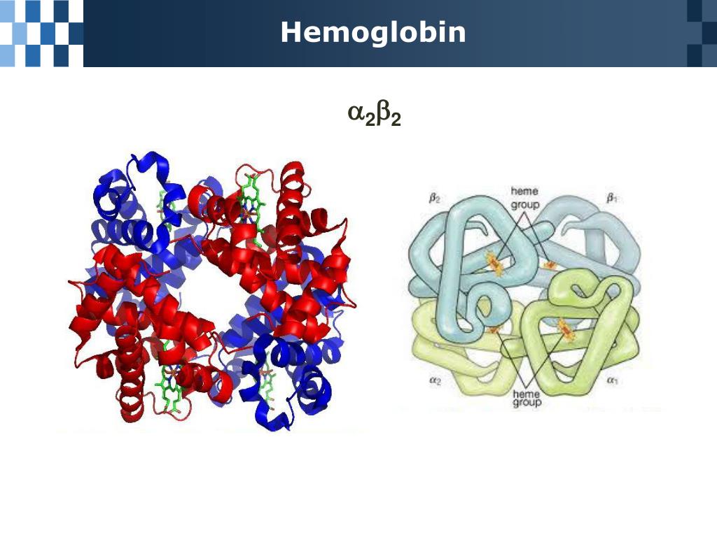 PPT Chapter 3 Amino Acids, Peptides, and Proteins PowerPoint