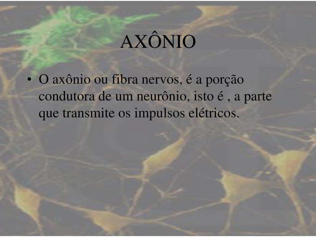 PPT SISTEMA NERVOSO PowerPoint Presentation, free