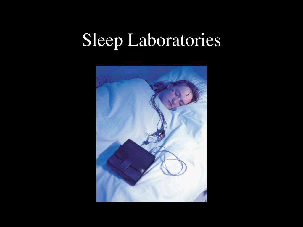 PPT LECTURE 4 SLEEP PowerPoint Presentation, free download ID3662923