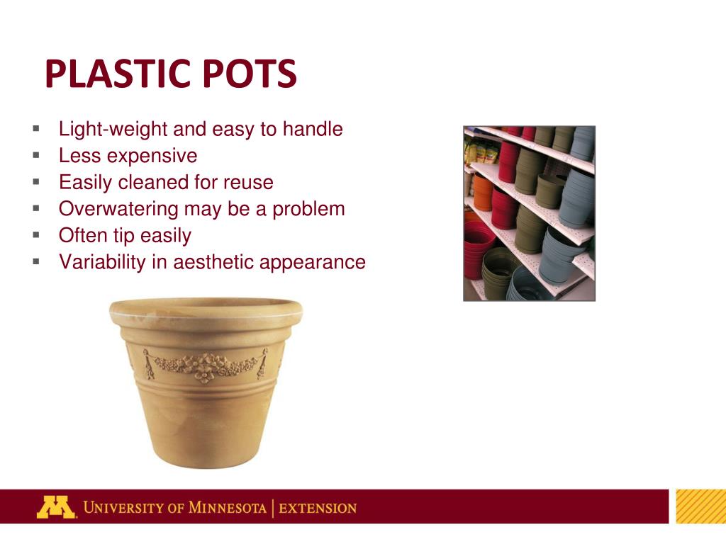 PPT Houseplants PowerPoint Presentation, free download ID3664394