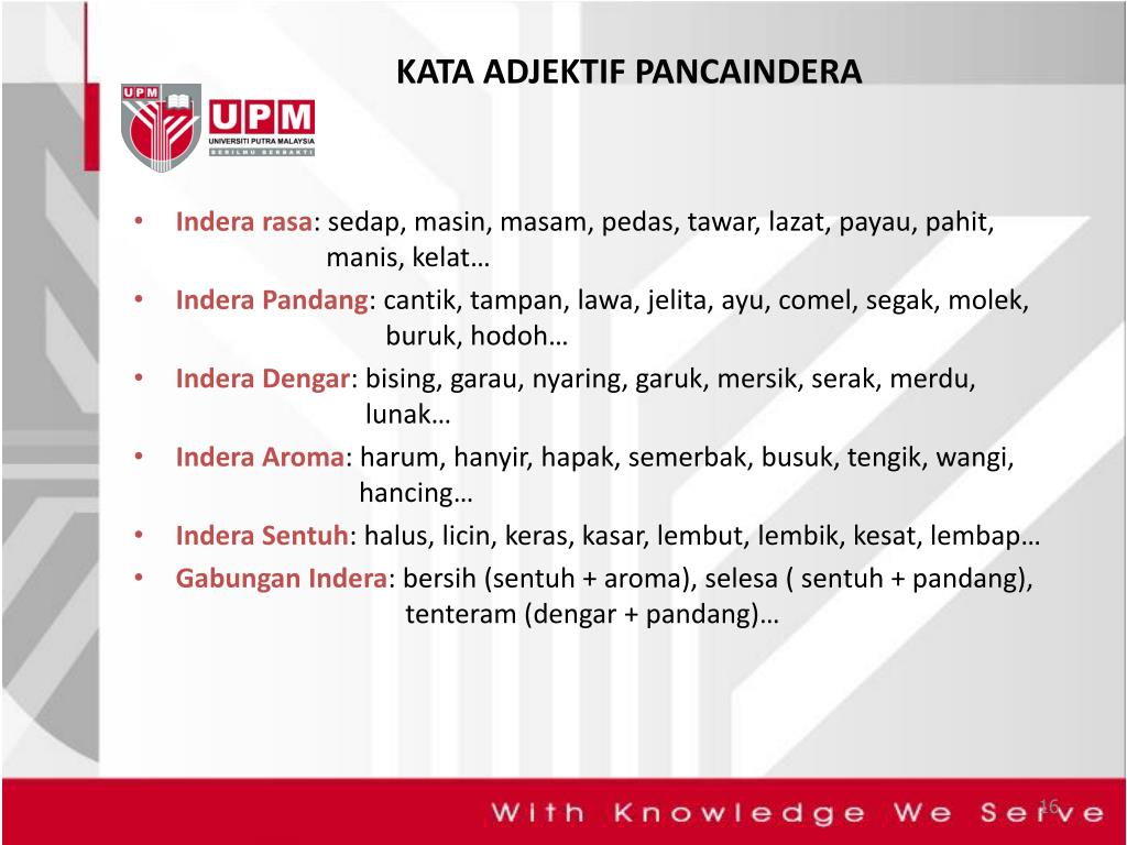 Contoh Kata Adjektif Pancaindera Blog Pendidikan