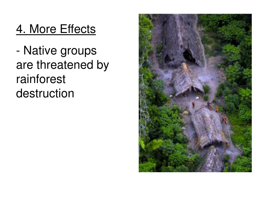 PPT 1. Objective (READ) SWBAT explain why the Amazon rainforest is