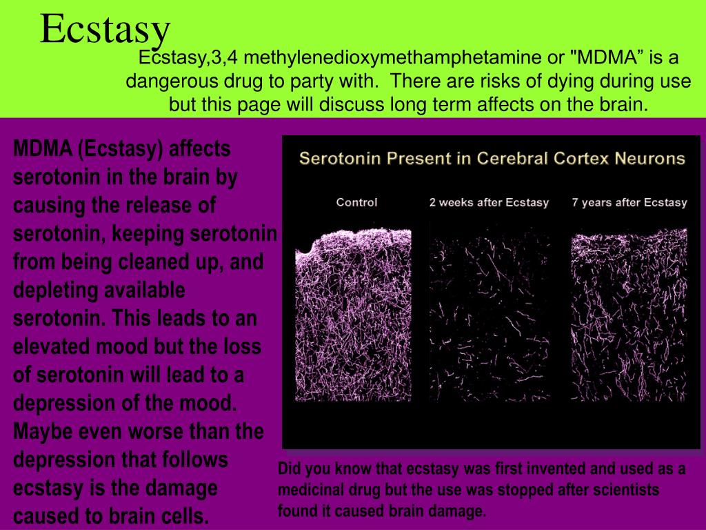 PPT Review the Synapse PowerPoint Presentation, free