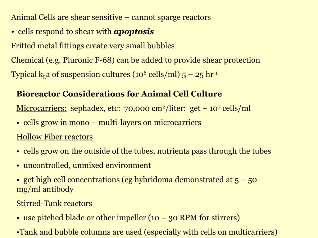 PPT Animal Cell Culture PowerPoint Presentation, free download ID