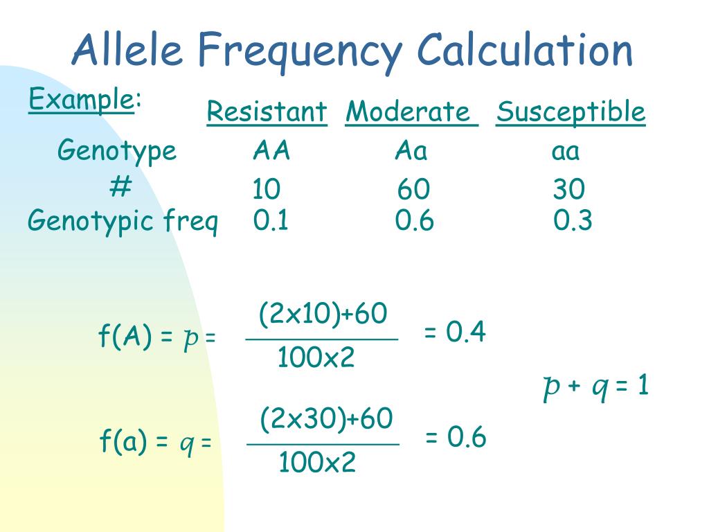 PPT Quantitative Terminology PowerPoint Presentation, free