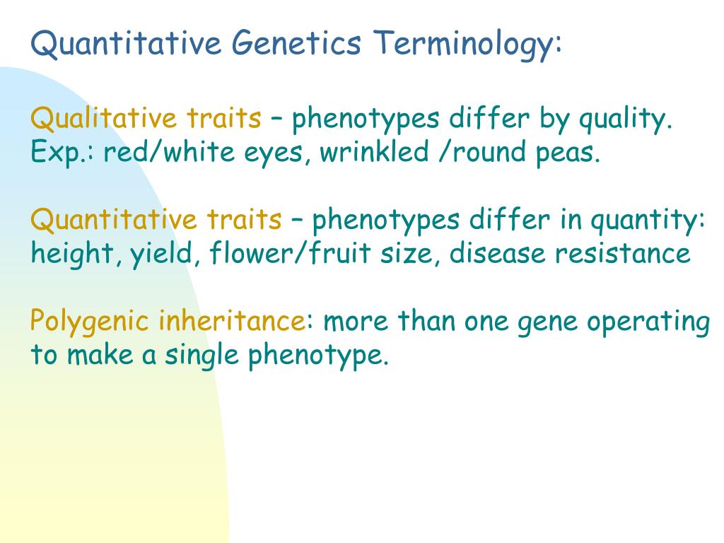 PPT Quantitative Terminology PowerPoint Presentation, free