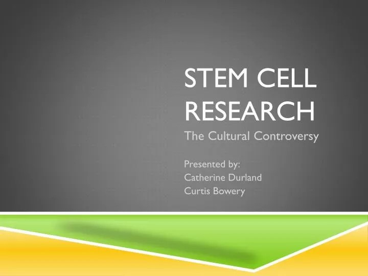 Stem Cell Research Controversy An Argumentative Essay