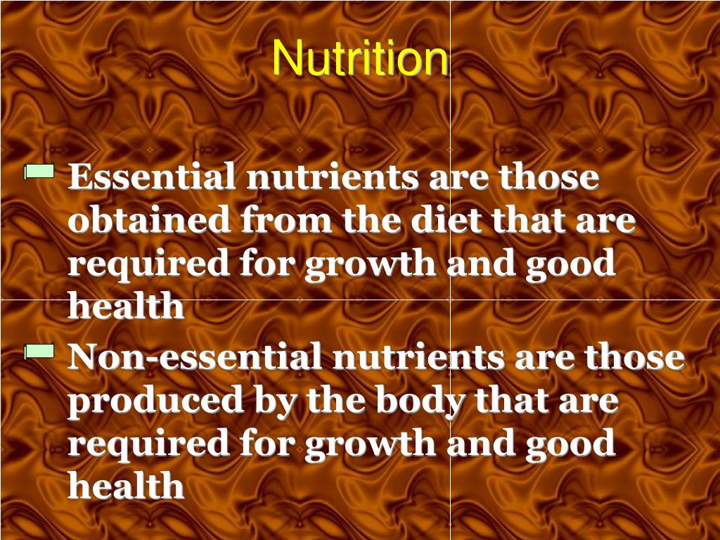 PPT Introductory Nutrition Unit One PowerPoint Presentation, free