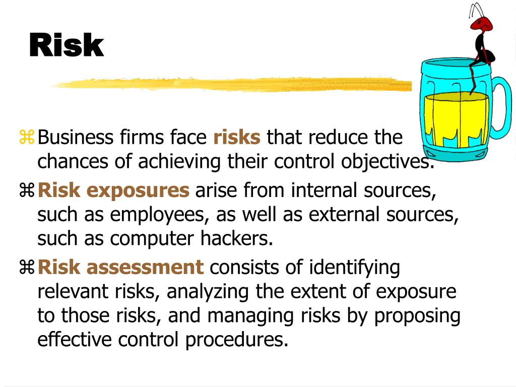 PPT Chapter 7 Risk Exposures and the Internal Control Structure