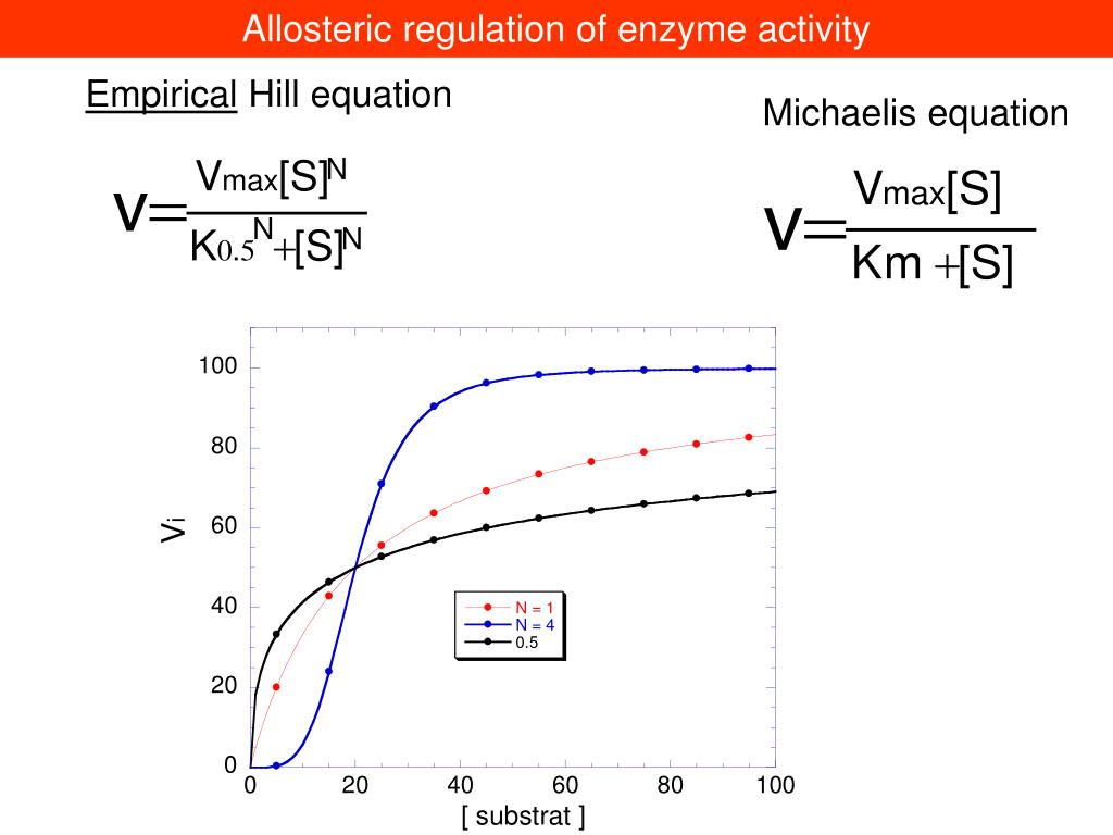 PPT Allosteric regulation of enzyme activity PowerPoint Presentation