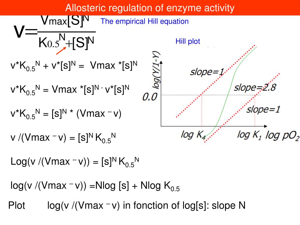 PPT Allosteric regulation of enzyme activity PowerPoint Presentation