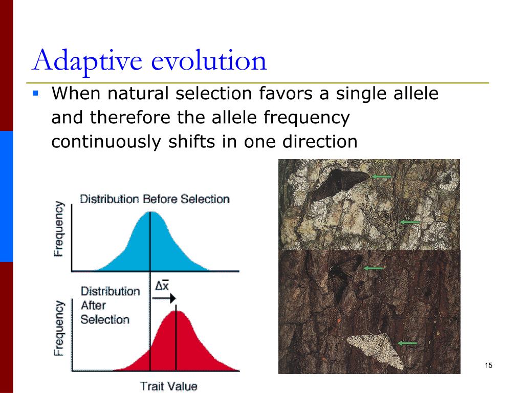 PPT Lesson 9 predicting function from sequence PowerPoint