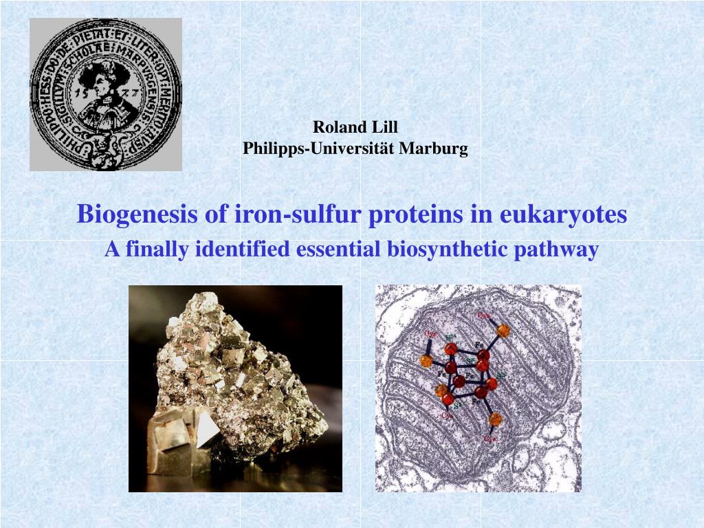 PPT Roland Lill PhilippsUniversität Marburg PowerPoint Presentation