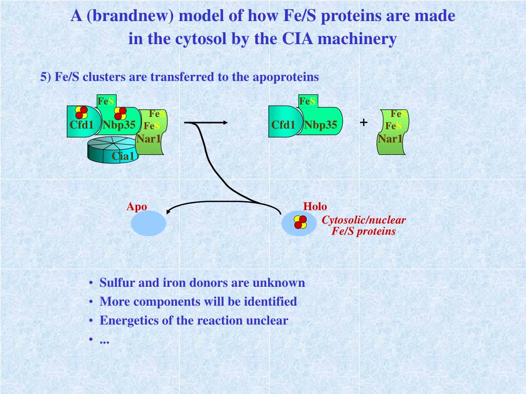 PPT Roland Lill PhilippsUniversität Marburg PowerPoint Presentation
