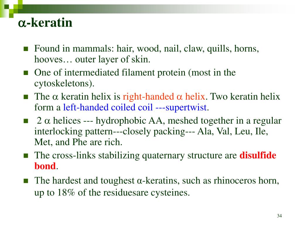 PPT Chapter 4 THE THREEDIMENSIONAL STRUCTURE OF PROTEINS PowerPoint