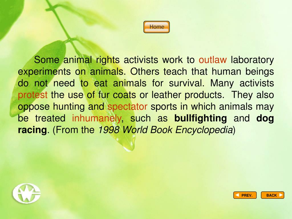 PPT Background Information p3 PowerPoint Presentation, free download