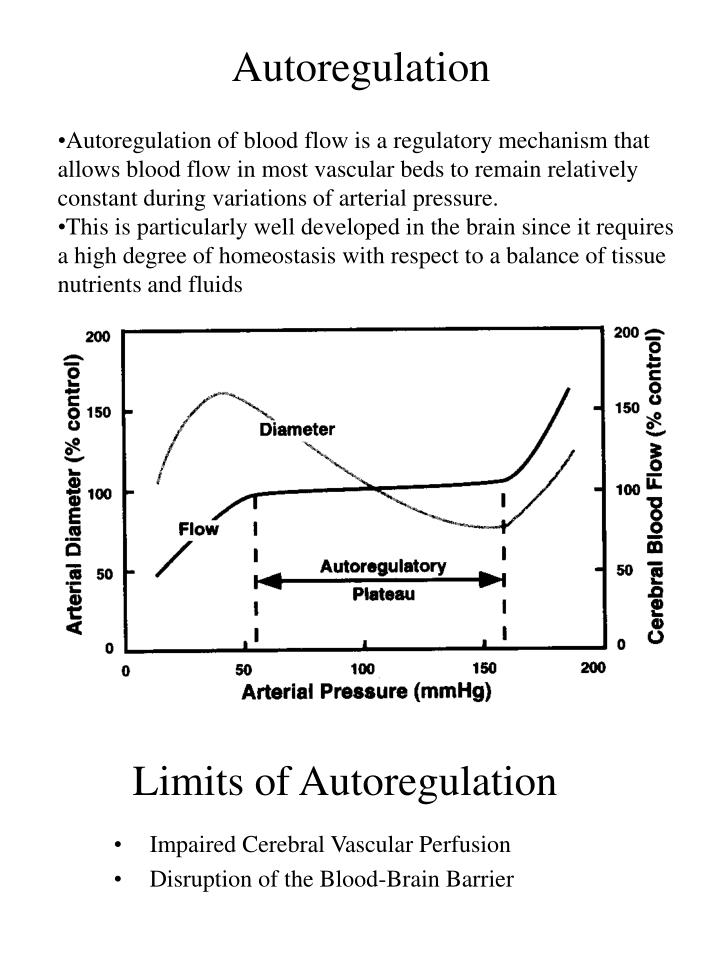 PPT Cerebral Blood Flow PowerPoint Presentation ID3701175