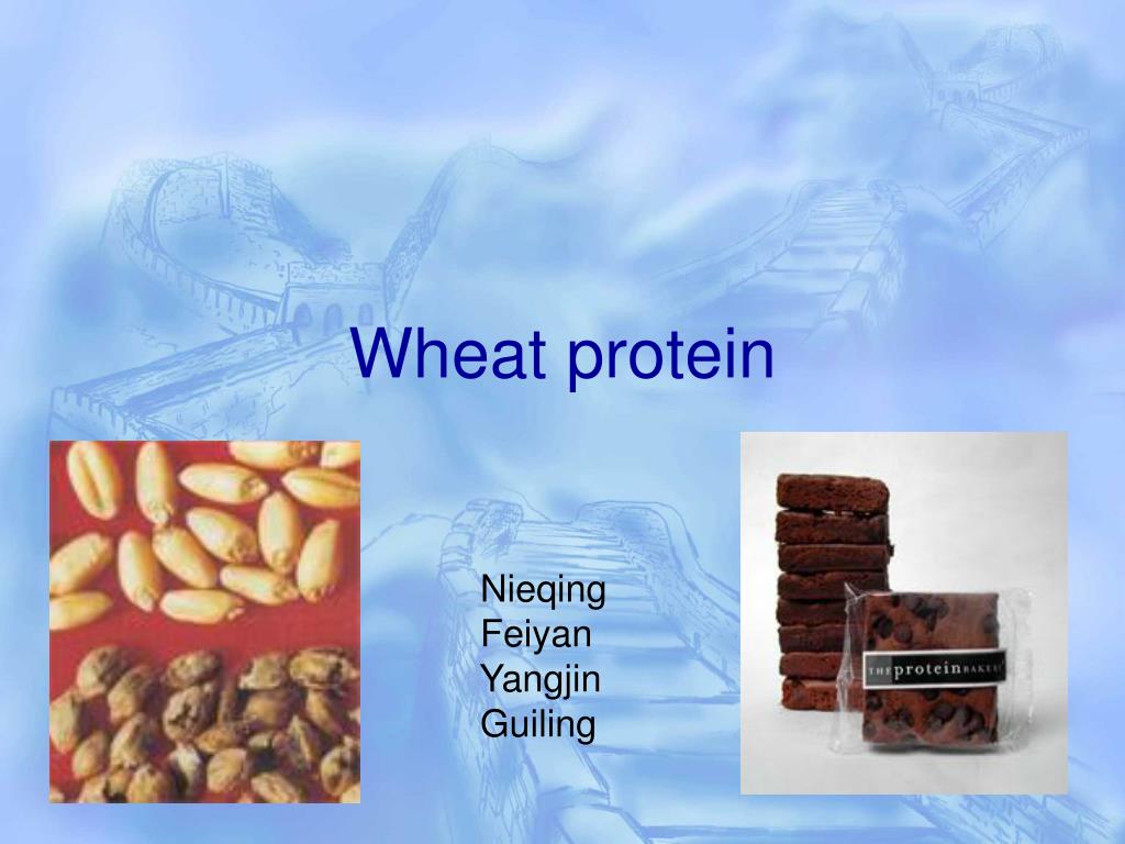 PPT Wheat protein PowerPoint Presentation, free download ID3703162