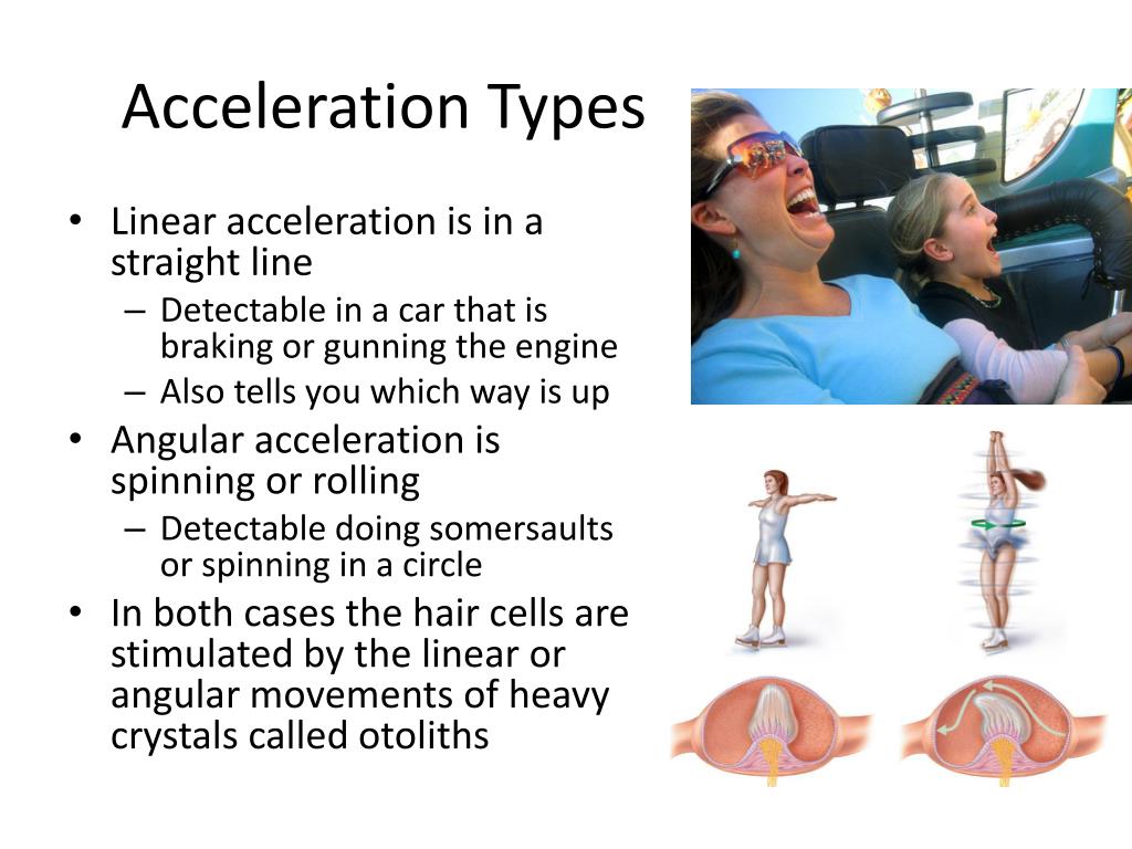 PPT Special Senses The Ear PowerPoint Presentation, free download