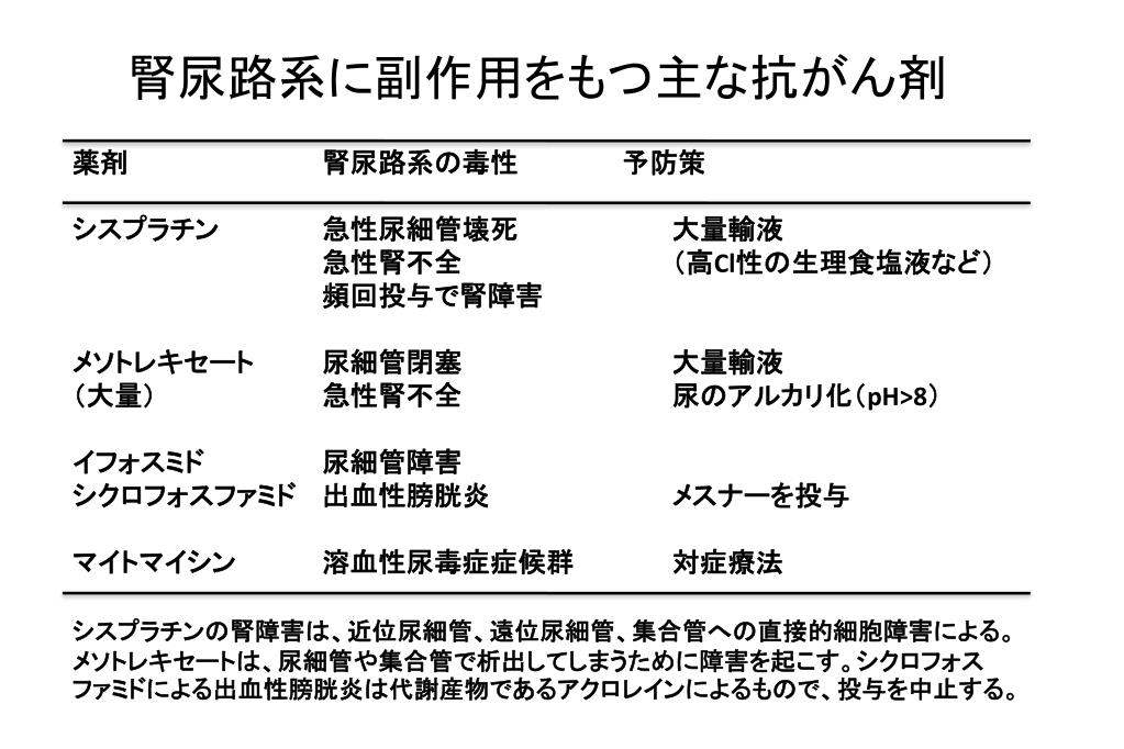 PPT 腎機能 PowerPoint Presentation, free download ID3704804