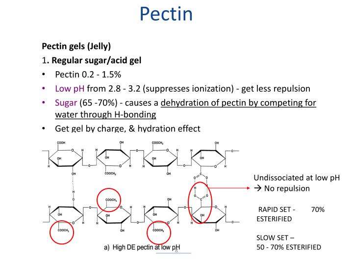 PPT FOOD CHEMISTRY PowerPoint Presentation ID3709502