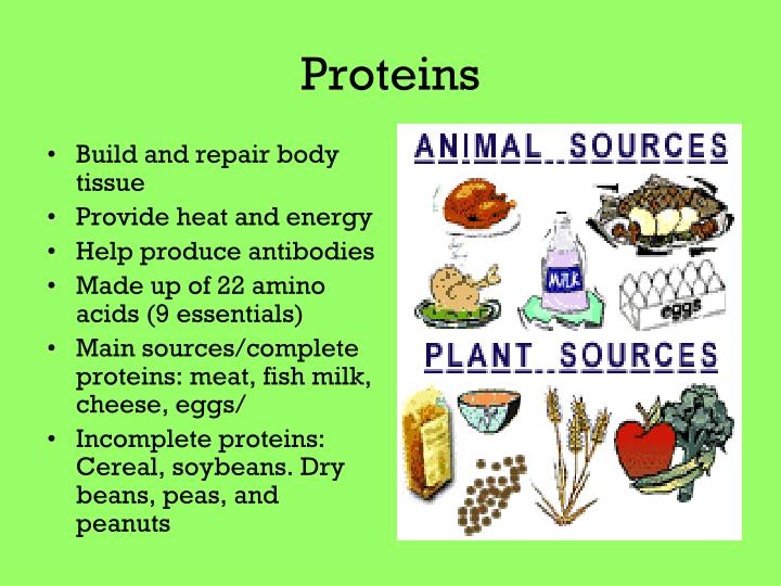 PPT Unit I Nutrition and Diet Therapy PowerPoint