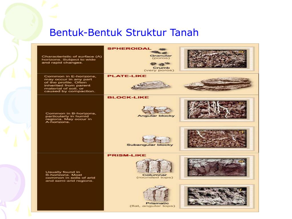 5 Fakta Unik Tentang Lempung, Tanah Hasil Pelapukan dari.