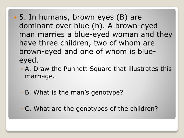 PPT Square Practice Problems PowerPoint Presentation ID3712111